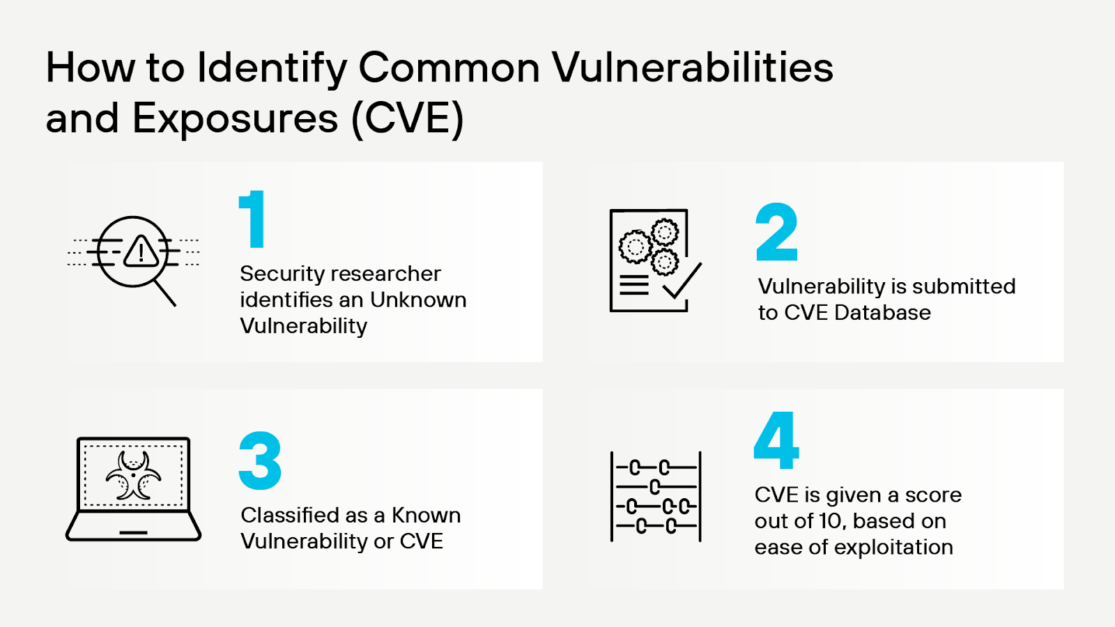 CVE 識別程序 CVE 識別程序