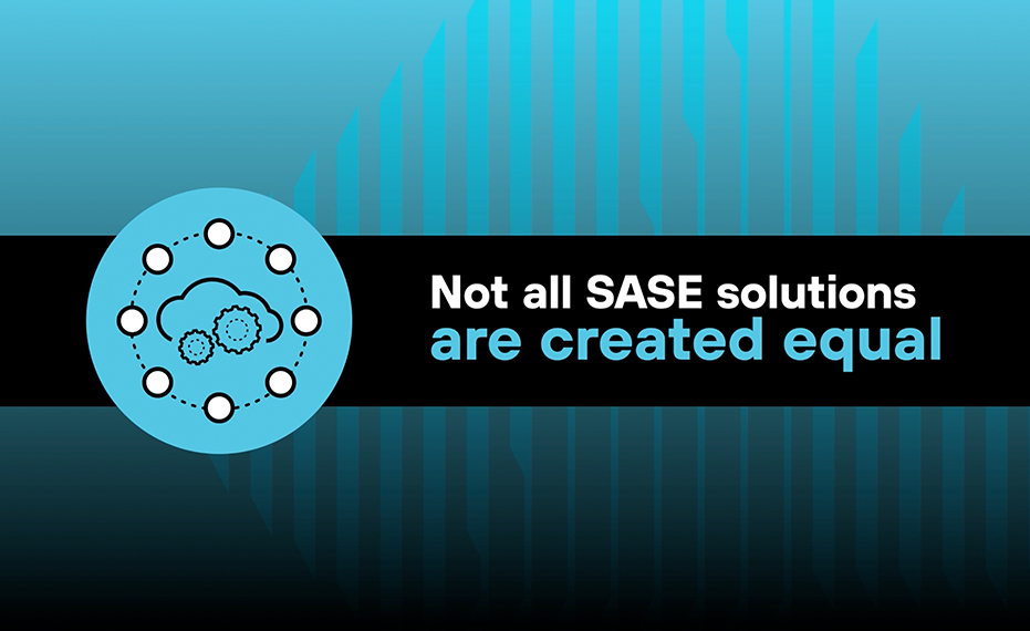 保護客戶存取和數據